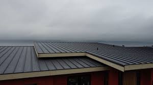 Best Roof Leak Repair  in Tanaina, AK